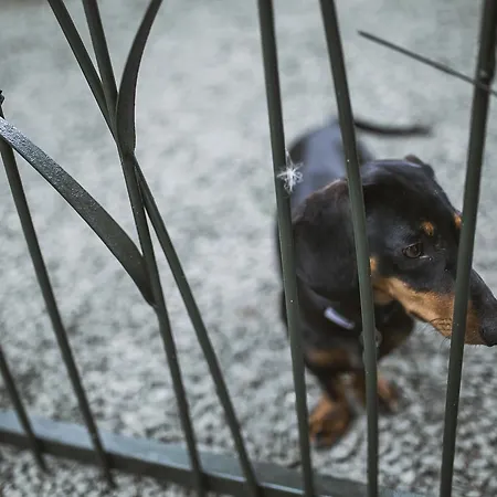 Jazmin Weekend House